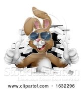 Vector Illustration of Cool Easter Bunny Shades Thumbs up Breaking Wall by AtStockIllustration