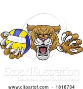 Vector Illustration of Cougar Panther Lion Puma Cat Volleyball Mascot by AtStockIllustration