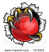 Vector Illustration of Cricket Ball Eagle Claw Talons Tearing Background by AtStockIllustration