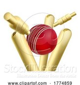 Vector Illustration of Cricket Ball Knocking over Wickets or Stumps by AtStockIllustration