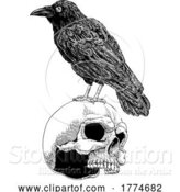 Vector Illustration of Crow Raven Corvus Bird and Skull Vintage Woodcut by AtStockIllustration