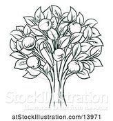 Vector Illustration of Dark Green Apple Tree by AtStockIllustration
