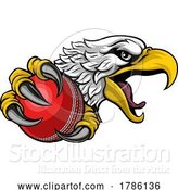 Vector Illustration of Eagle Hawk Cricket Ball Sports Team Mascot by AtStockIllustration