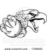 Vector Illustration of Eagle Hawk Cricket Ball Sports Team Mascot by AtStockIllustration