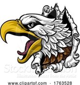 Vector Illustration of Eagle Hawk Face Head Ripping Through Background by AtStockIllustration