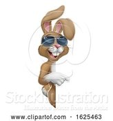 Vector Illustration of Easter Bunny Cool Rabbit Pointing by AtStockIllustration