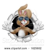Vector Illustration of Easter Bunny Cool Rabbit Sunglasses Breaking Wall by AtStockIllustration