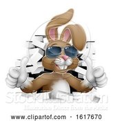 Vector Illustration of Easter Bunny Cool Rabbit Sunglasses Thumbs up by AtStockIllustration