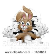 Vector Illustration of Easter Bunny Rabbit Breaking Through Wall by AtStockIllustration