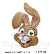 Vector Illustration of Easter Bunny Rabbit by AtStockIllustration