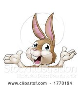 Vector Illustration of Easter Bunny Rabbit by AtStockIllustration