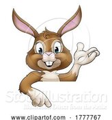 Vector Illustration of Easter Bunny Rabbit Character Peeking Sign by AtStockIllustration