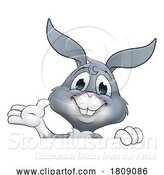 Vector Illustration of Easter Bunny Rabbit Character Peeking Sign by AtStockIllustration