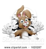 Vector Illustration of Easter Bunny Rabbit Coming out of Background by AtStockIllustration