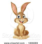 Vector Illustration of Easter Bunny Rabbit Fun Animal Character by AtStockIllustration