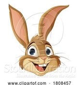 Vector Illustration of Easter Bunny Rabbit Fun Animal Character by AtStockIllustration