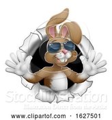 Vector Illustration of Easter Bunny Rabbit in Shades Breaking Background by AtStockIllustration