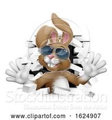Vector Illustration of Easter Bunny Rabbit in Shades Coming Through Wall by AtStockIllustration
