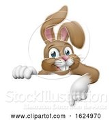 Vector Illustration of Easter Bunny Rabbit Pointing at Sign by AtStockIllustration
