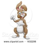 Vector Illustration of Easter Bunny Rabbit Thumbs up and Pointing by AtStockIllustration