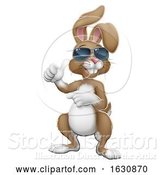 Vector Illustration of Easter Bunny Shades Rabbit Thumbs up and Pointing by AtStockIllustration