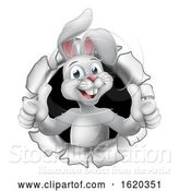 Vector Illustration of Easter Bunny Thumbs up Coming out of Background by AtStockIllustration