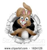 Vector Illustration of Easter Bunny Thumbs up Coming out of Background by AtStockIllustration