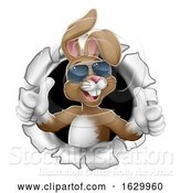 Vector Illustration of Easter Bunny Thumbs up Cool Rabbit in Sunglasses by AtStockIllustration