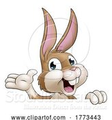 Vector Illustration of Easter Rabbit by AtStockIllustration
