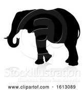 Vector Illustration of Elephant Safari Animal Silhouette, on a White Background by AtStockIllustration