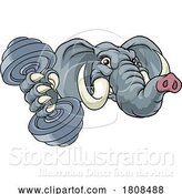 Vector Illustration of Elephant Weight Lifting Dumbbell Gym Mascot by AtStockIllustration