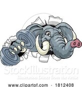 Vector Illustration of Elephant Weight Lifting Dumbbell Gym Mascot by AtStockIllustration