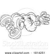 Vector Illustration of Elephant Weight Lifting Dumbbell Gym Mascot by AtStockIllustration