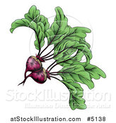 Vector Illustration of Engraved Beets and Greens by AtStockIllustration