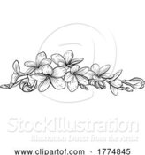 Vector Illustration of Frangipani Plumeria Tropical Bali Floral Flower by AtStockIllustration