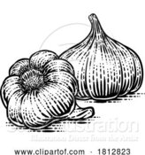 Vector Illustration of Garlic Bulbs by AtStockIllustration