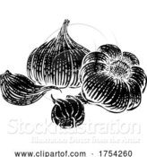 Vector Illustration of Garlic by AtStockIllustration