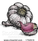 Vector Illustration of Garlic by AtStockIllustration