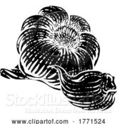 Vector Illustration of Garlic by AtStockIllustration