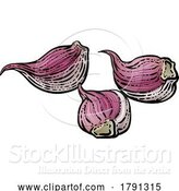 Vector Illustration of Garlic by AtStockIllustration