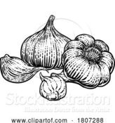 Vector Illustration of Garlic by AtStockIllustration