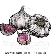 Vector Illustration of Garlic by AtStockIllustration