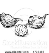 Vector Illustration of Garlic Cloves by AtStockIllustration
