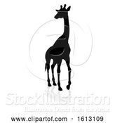 Vector Illustration of Giraffe Safari Animal Silhouette, on a White Background by AtStockIllustration
