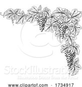 Vector Illustration of Grape Bunches on Vine Corner Border Design Element by AtStockIllustration