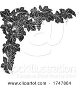 Vector Illustration of Grape Bunches on Vine Corner Border Design Element by AtStockIllustration