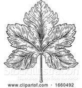 Vector Illustration of Grape Leaf Design Element Woodcut Engraving Style by AtStockIllustration