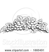 Vector Illustration of Grapes Bunch Vine and Leaves Woodcut Etching Style by AtStockIllustration