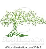 Vector Illustration of Green Apple Tree Design by AtStockIllustration