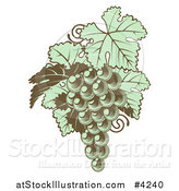 Vector Illustration of Green Grapes with Leaves in Woodblock by AtStockIllustration